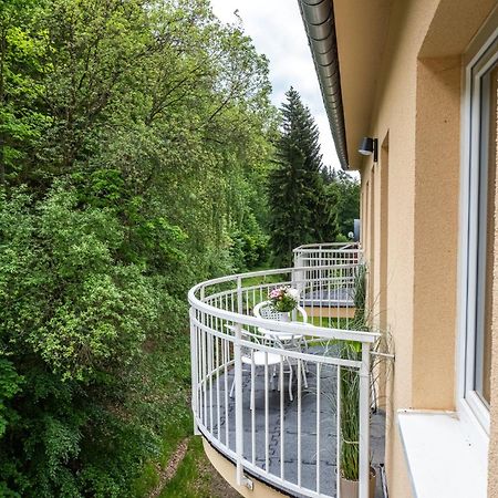 Forest Apartment With Sauna Jáchymov Dış mekan fotoğraf